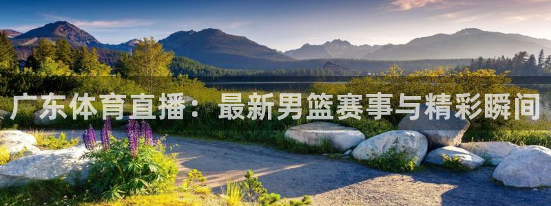 飞速体育：广东体育直播：最新男篮赛事与精彩瞬间