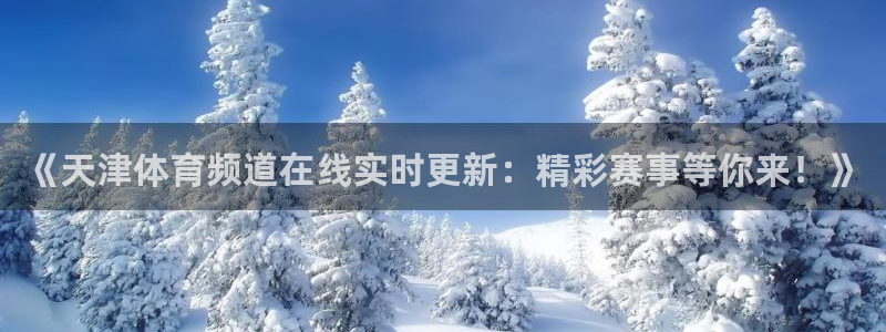 飞速极速体育直播：《天津体育频道在线实时更新：精彩赛事等你来！》