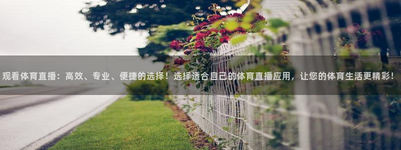 nba无插件飞速直播：观看体育直播：高效、专业、便捷的选择！选择适合自己的体育直播应用，让您的体育生活更精彩！