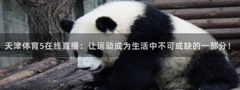 jrs飞速直播：天津体育5在线直播：让运动成为生活中不可或缺的一部分！