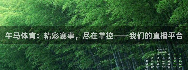 飞速体育高速直播：午马体育：精彩赛事，尽在掌控——我们的直播平台