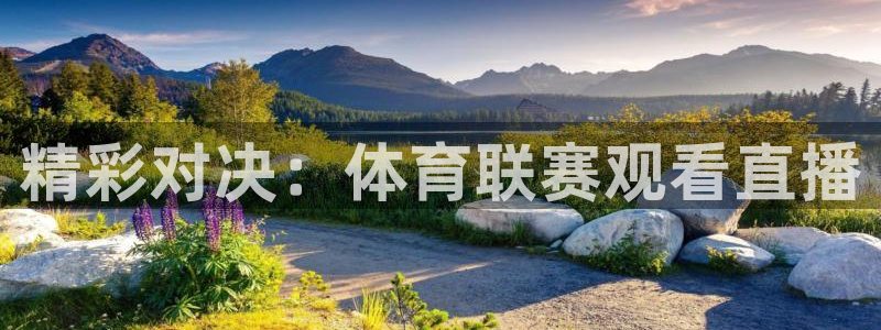 飞速极速体育直播：精彩对决：体育联赛观看直播