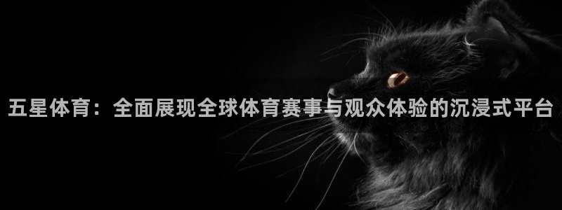 飞速直播nba直播吧：五星体育：全面展现全球体育赛事与观众体验的沉浸式平台