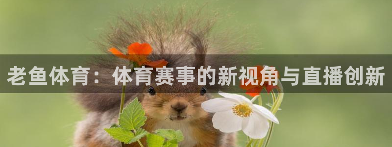 飞速直播nba无插件直播