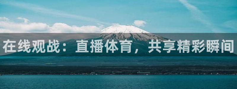 飞速nba在线直播