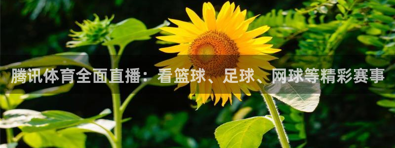 飞速直播直播：腾讯体育全面直播：看篮球、足球、网球等精彩赛事
